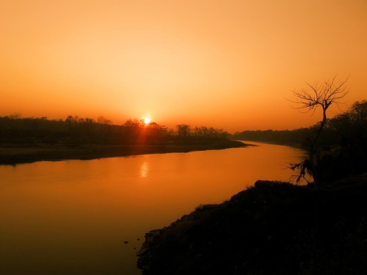 River Park Retreat Sauraha Bagian luar foto